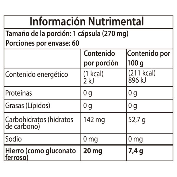 Hierro_Mesa de trabajo 1